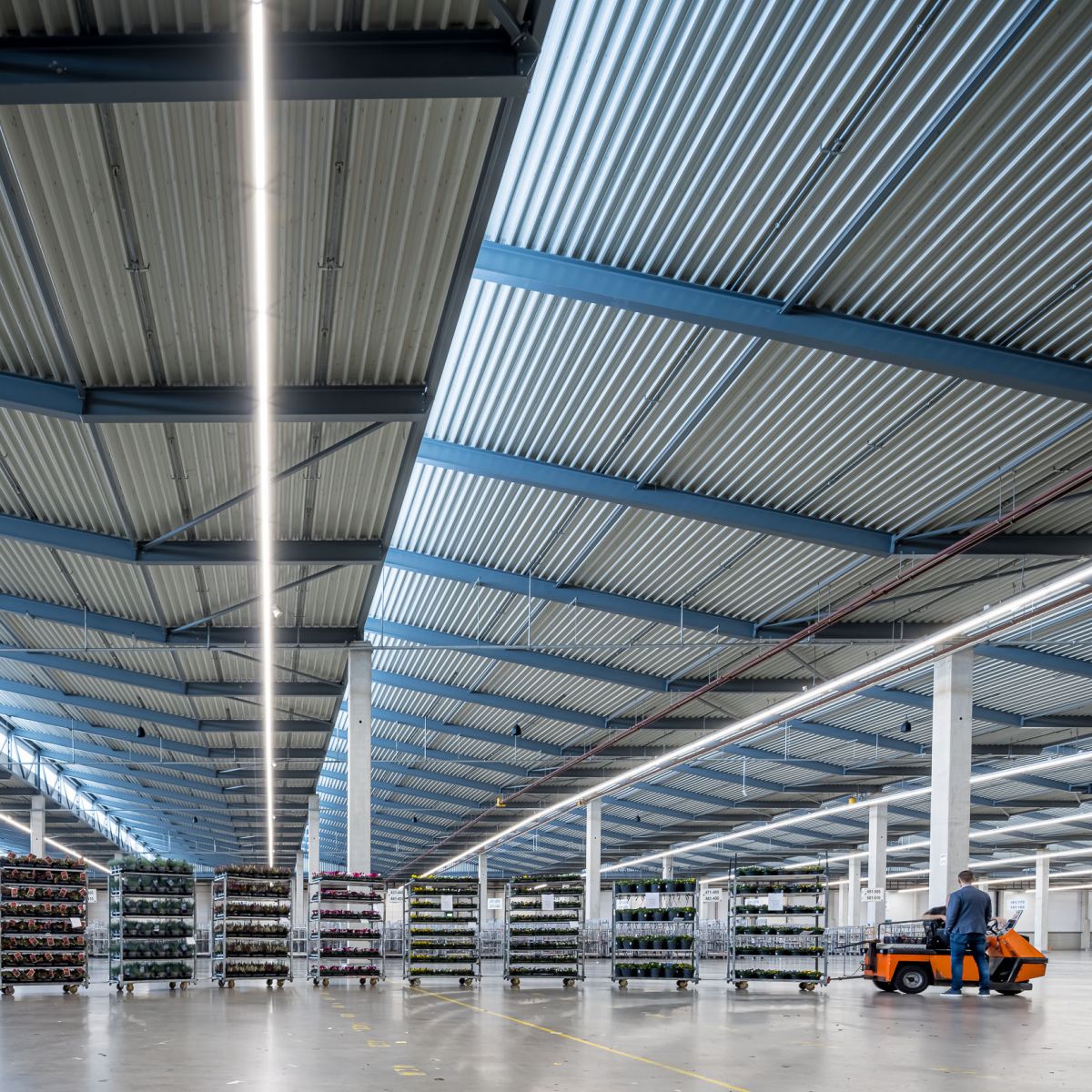 LED verlichting voor bedrijfshal