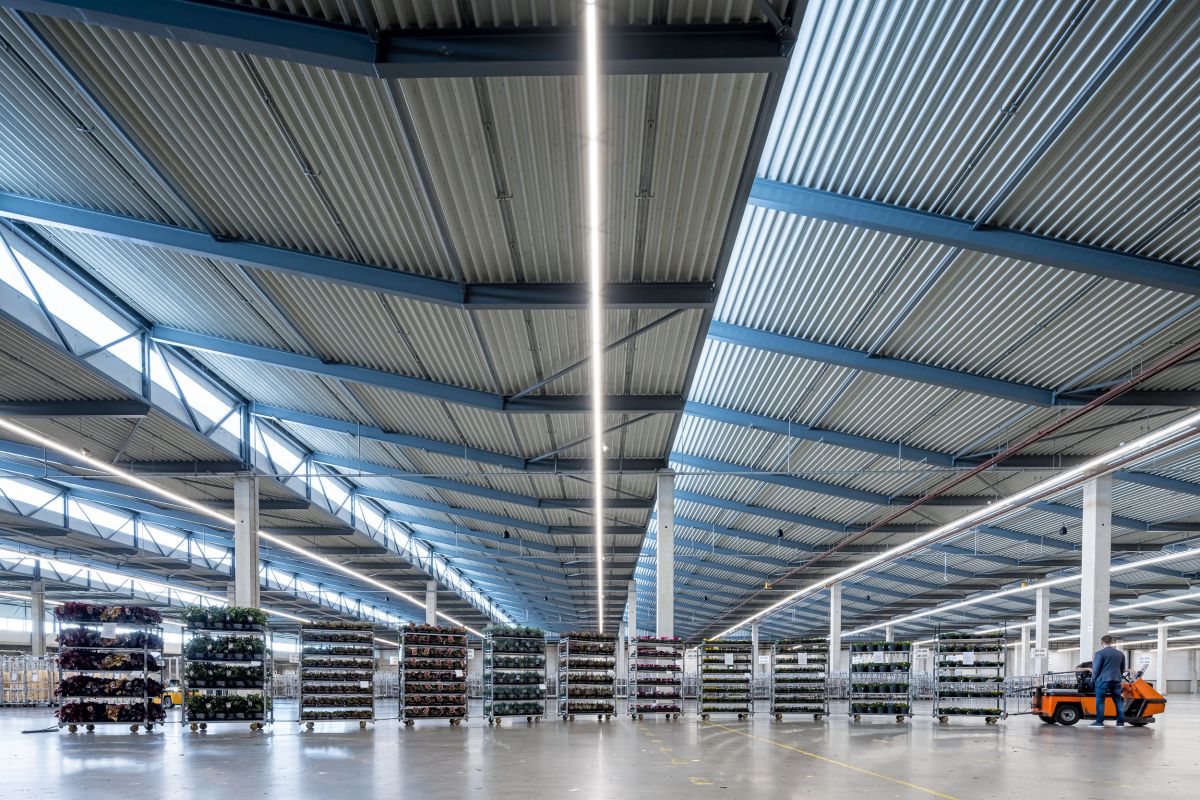 Lichtlijnen bedrijfshalverlichting Plantion