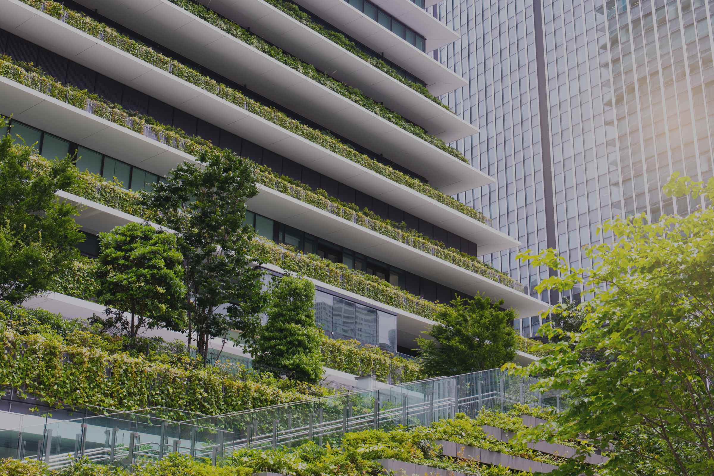 CIrculaire verlichting